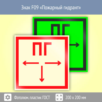 ���� F09 ��������� ������� (������������������ ������� ���� 34428-2018, 200�200 ��)