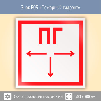 ���� F09 ��������� ������� (��������������� �������, 300�300 ��)