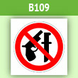 ���� ������� ���������, B109 (������, 200�200 ��)